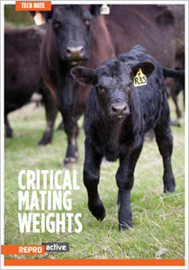 CRITICAL MATING WEIGHTS