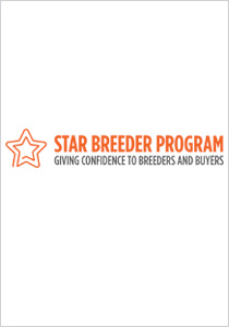 Star Breeder Logo thumb 1