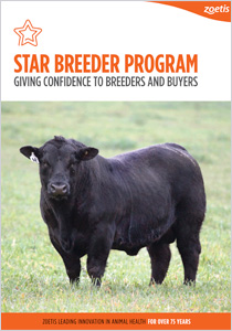 star breeder brochure
