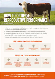 ptimise reproductive performance pre calvingb