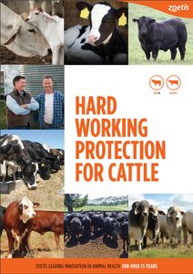 HARD WORKING PROTECTION FOR CATTLE