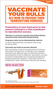 Vibriosis Vaccinate your bulls brochureb